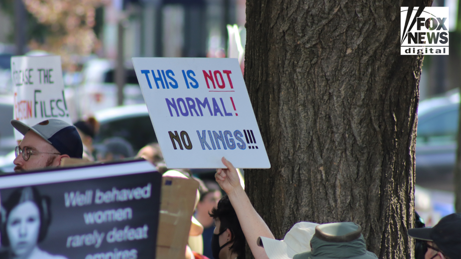 Signs saying No Kings at protest