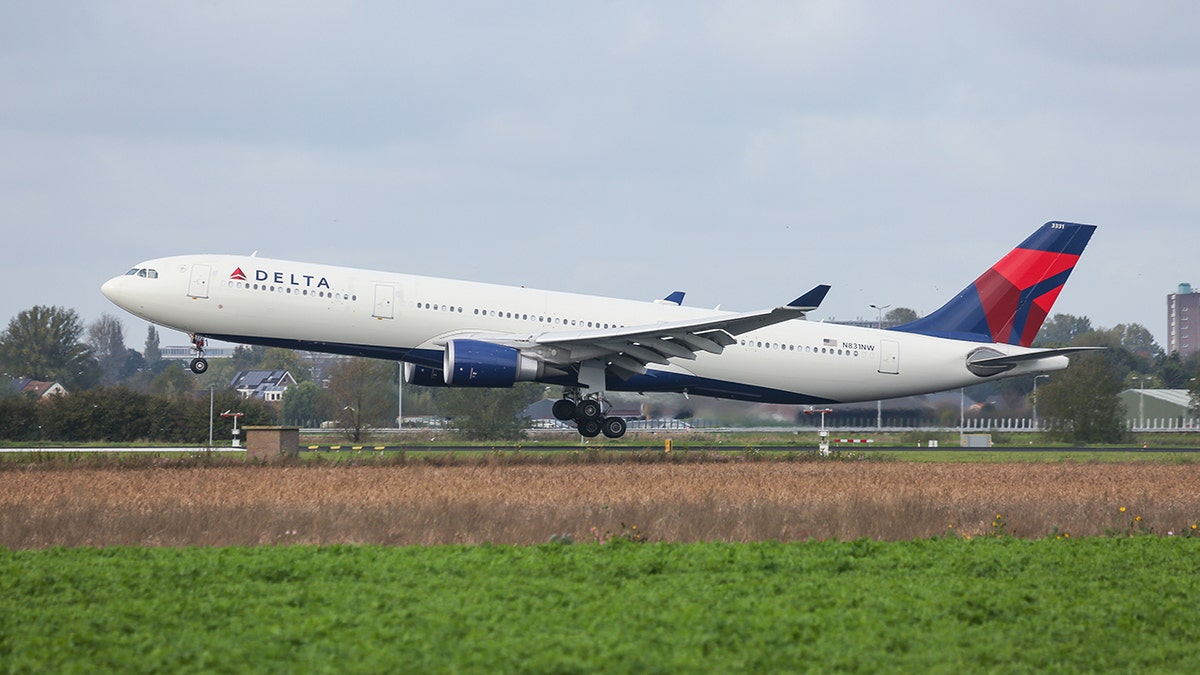 Delta jet taking off.