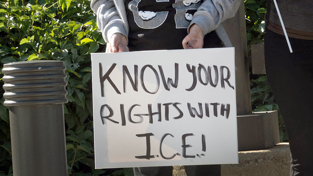 ice-protesters-illinois-chicago