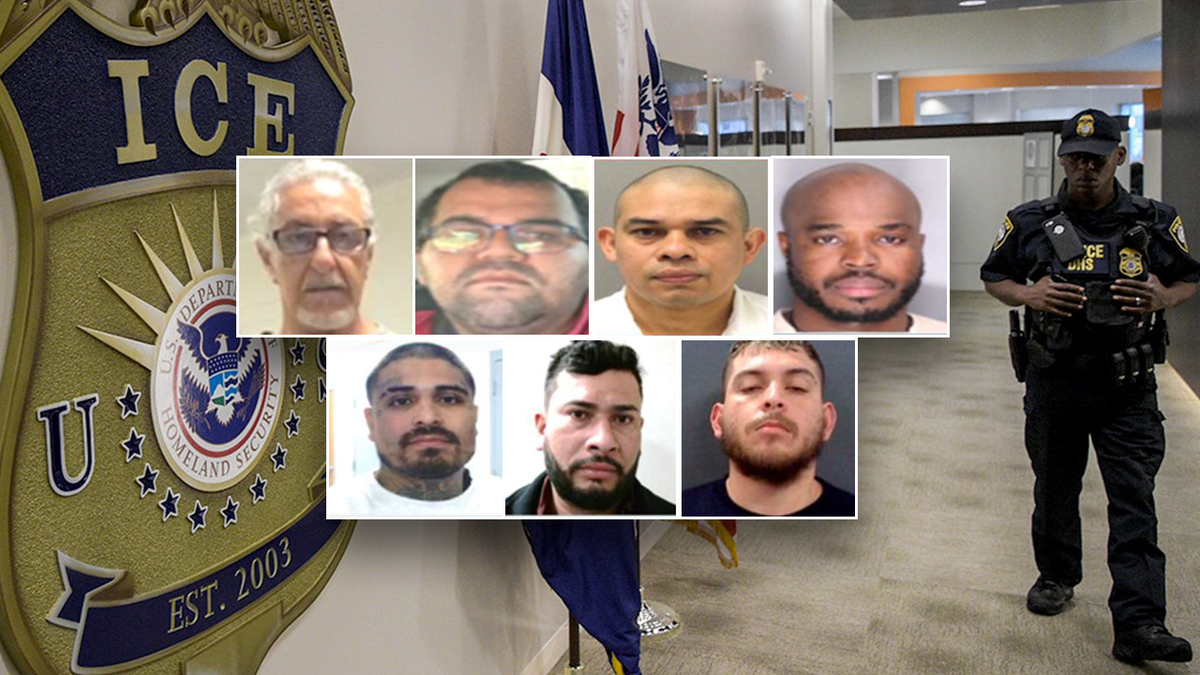 Illegals arrested by ICE September 2025