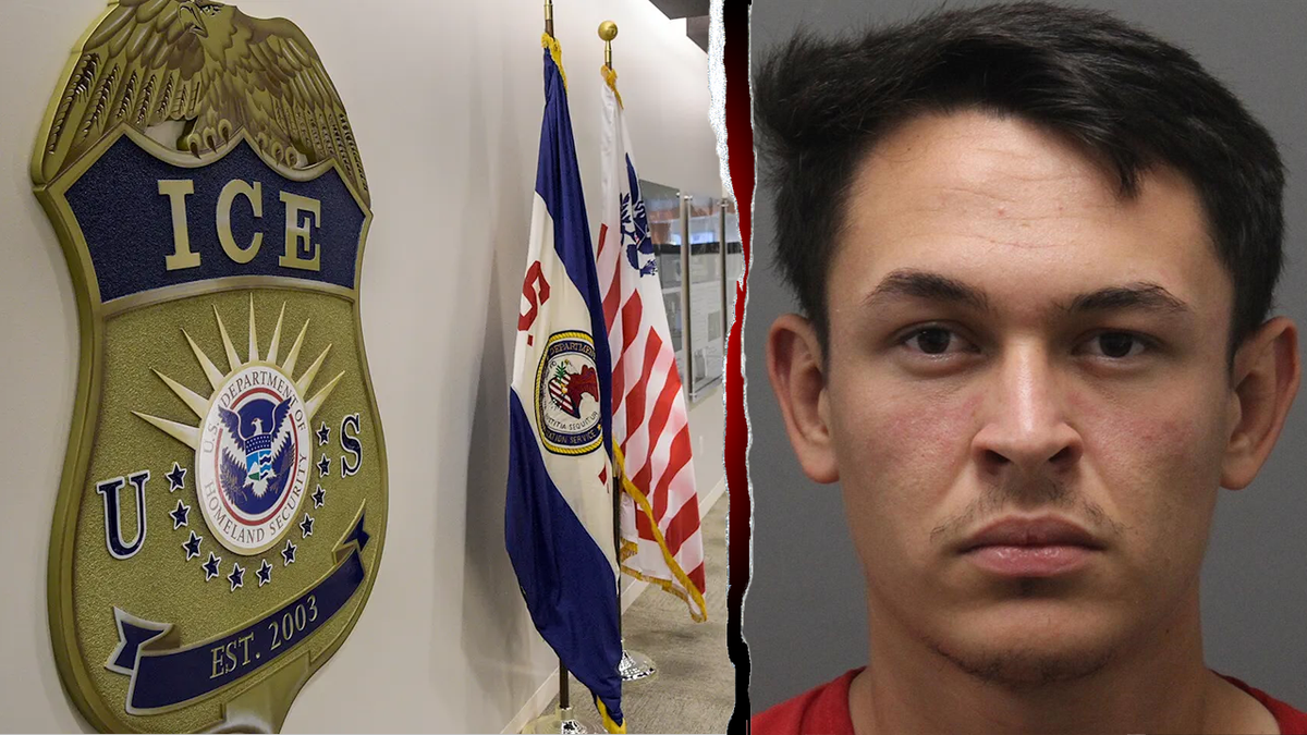 ICE seal and illegal immigrant Alvaro Mejia-Ayala