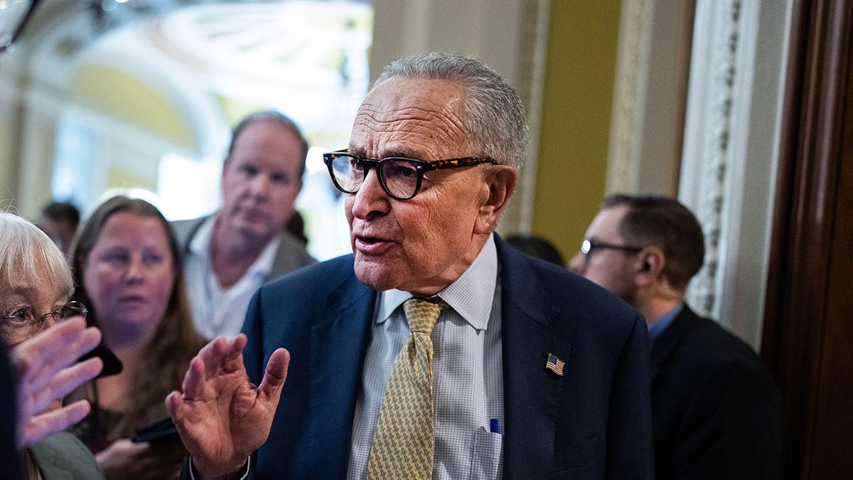 Senate Minority Leader Chuck Schumer, D-N.Y.