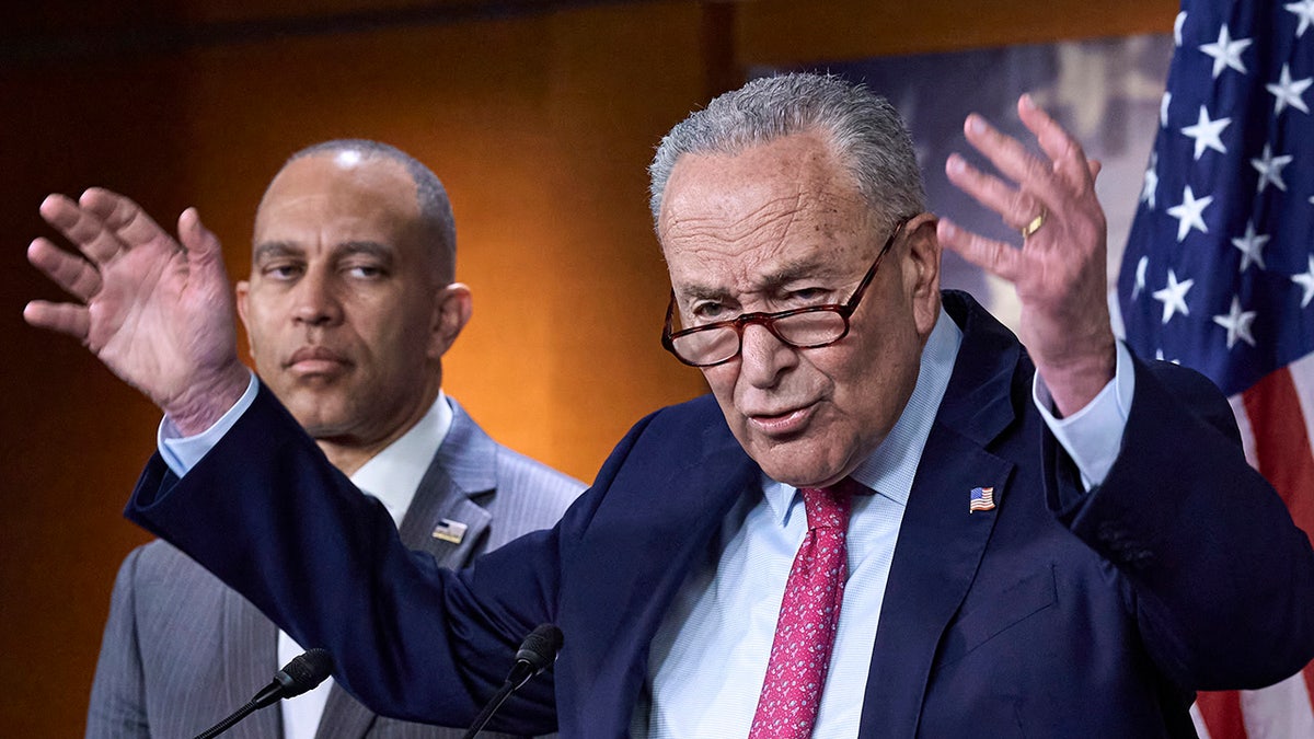 Chuck Schumer with his arms up