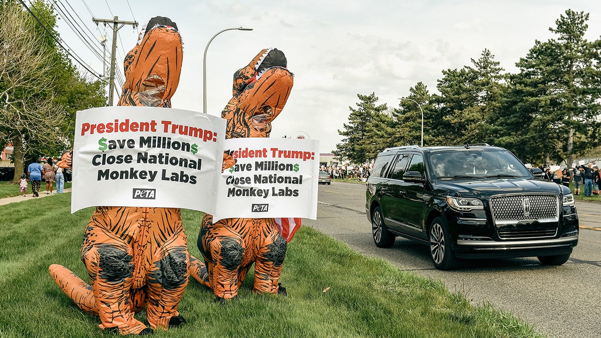 PETA protests to end animal experiments