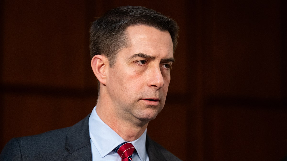 Sen Tom Cotton closeup
