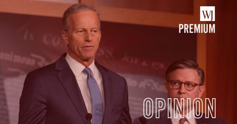 Senate Majority Leader John Thune speaks during a press conference on the 10th day of a government shutdown at the U.S. Capitol on Oct. 10, 2025, in Washington, D.C.