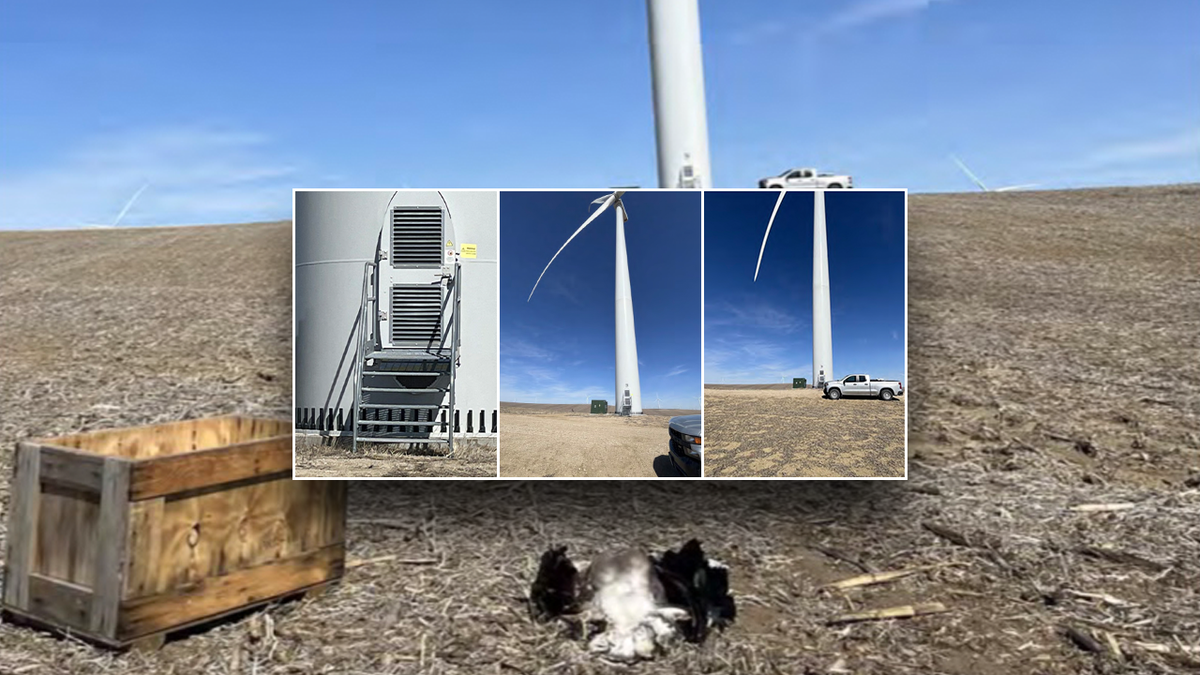 Close up images of a wind turbine in Nebraska that killed a bald eagle