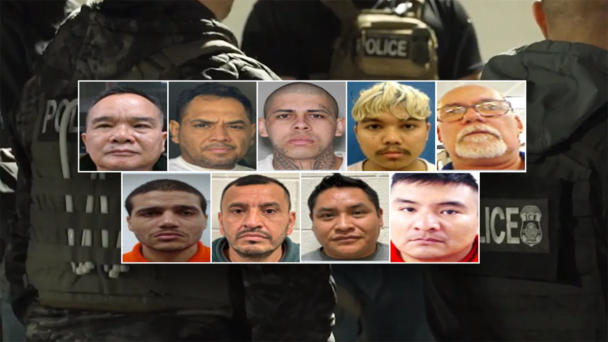 Criminal illegal aliens arrested by ICE over Halloween weekend 2025