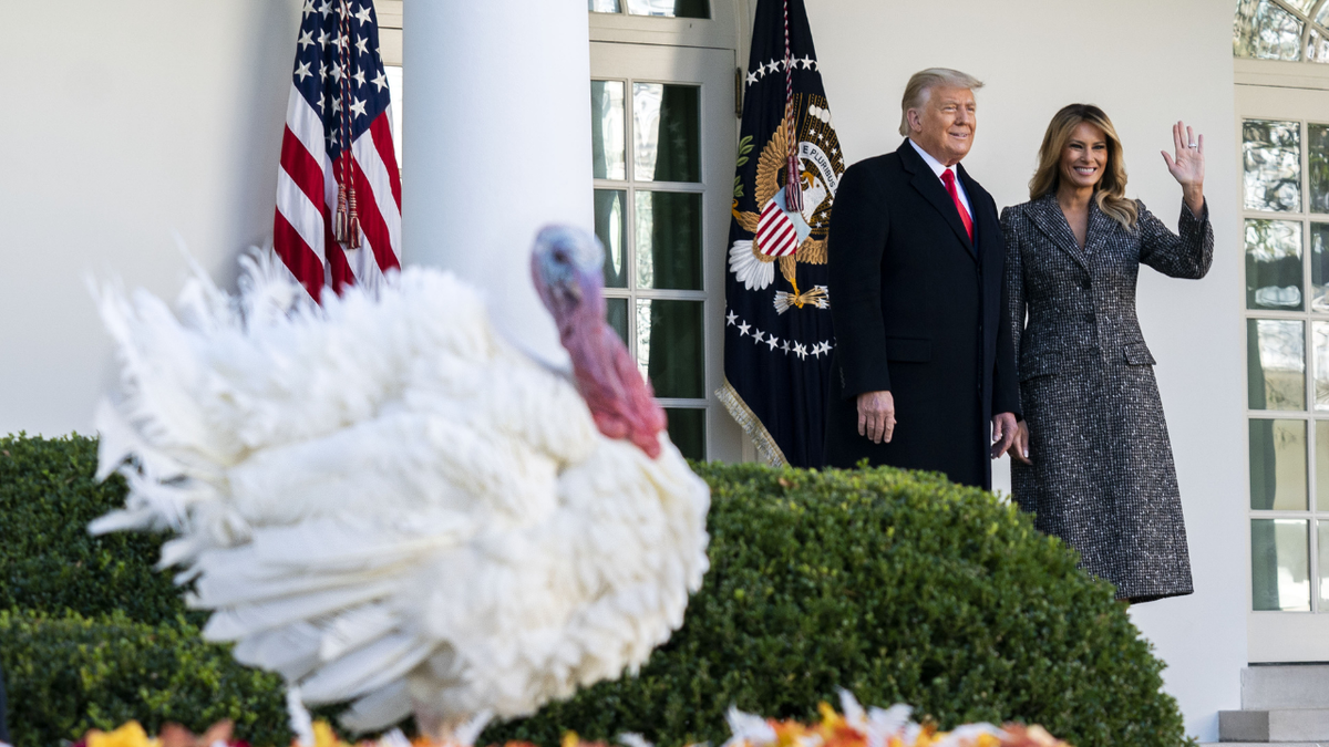 President Donald Trump and First Lady Melania Trump smile during the turkey pardon at the White House in 2020.