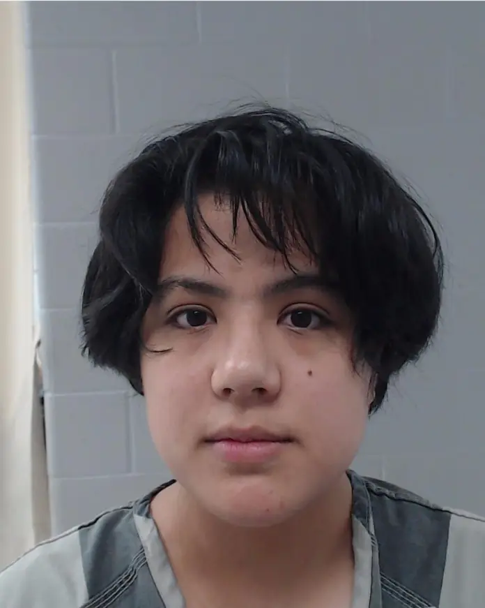 Susan Elaine Kent, an admitted antifa associate