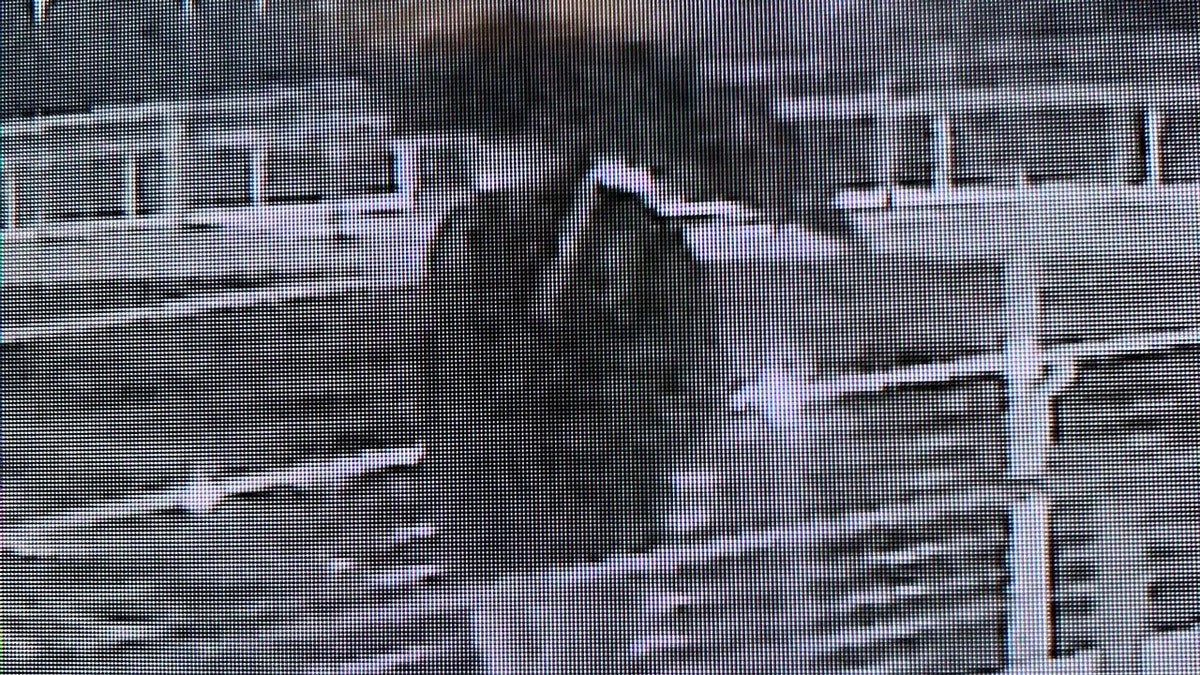 Trump-Kennedy Center suspect on surveillance video