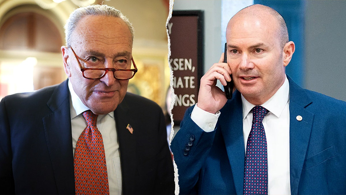 Split of Senate Minority Leader Chuck Schumer and Sen. Mike Lee