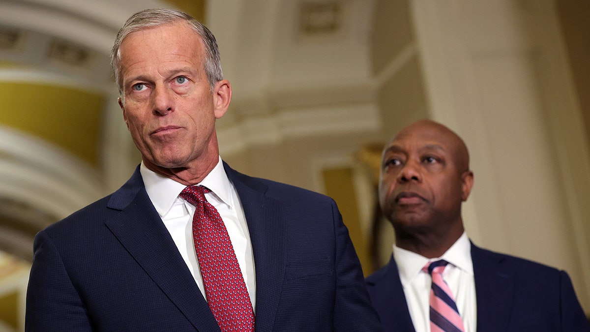 Senate Majority Leader John Thune and Sen. Tim Scott