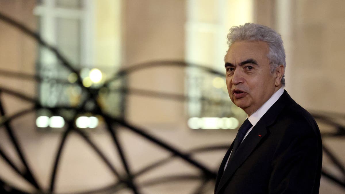 International Energy Agency (IEA) Executive Director Fatih Birol