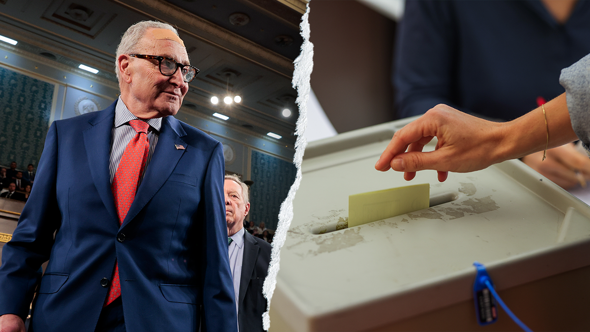 Chuck Schumer aside from a ballot being cast