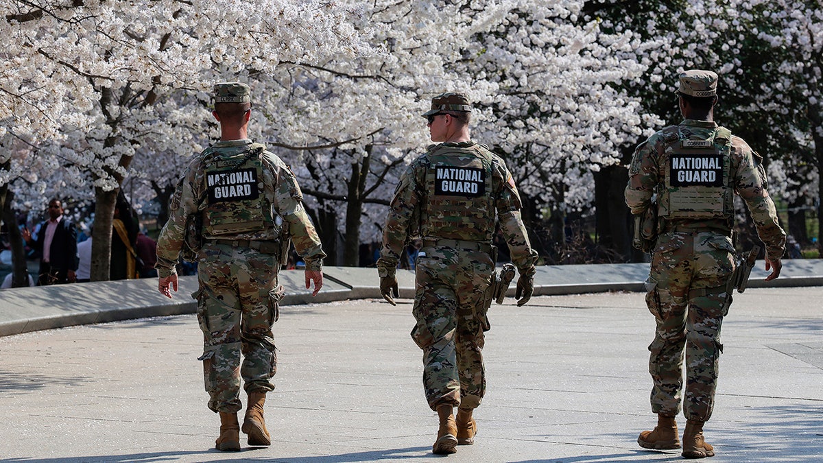DC National Guard, cherry blossoms