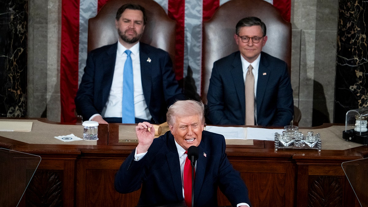 Vice President JD Vance and House Speaker Mike Johnson sit behind President Donald Trump as he delivers the State of the Union address