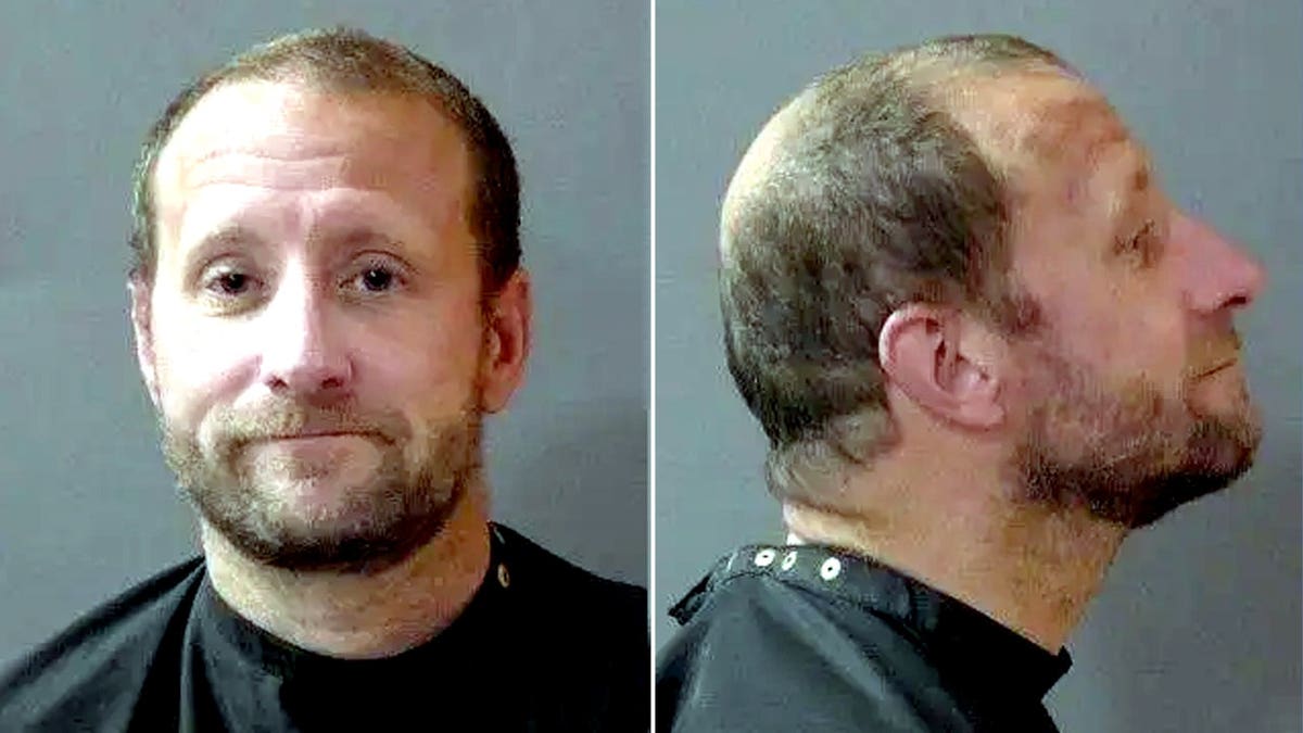 Andrew Dezelan mugshot