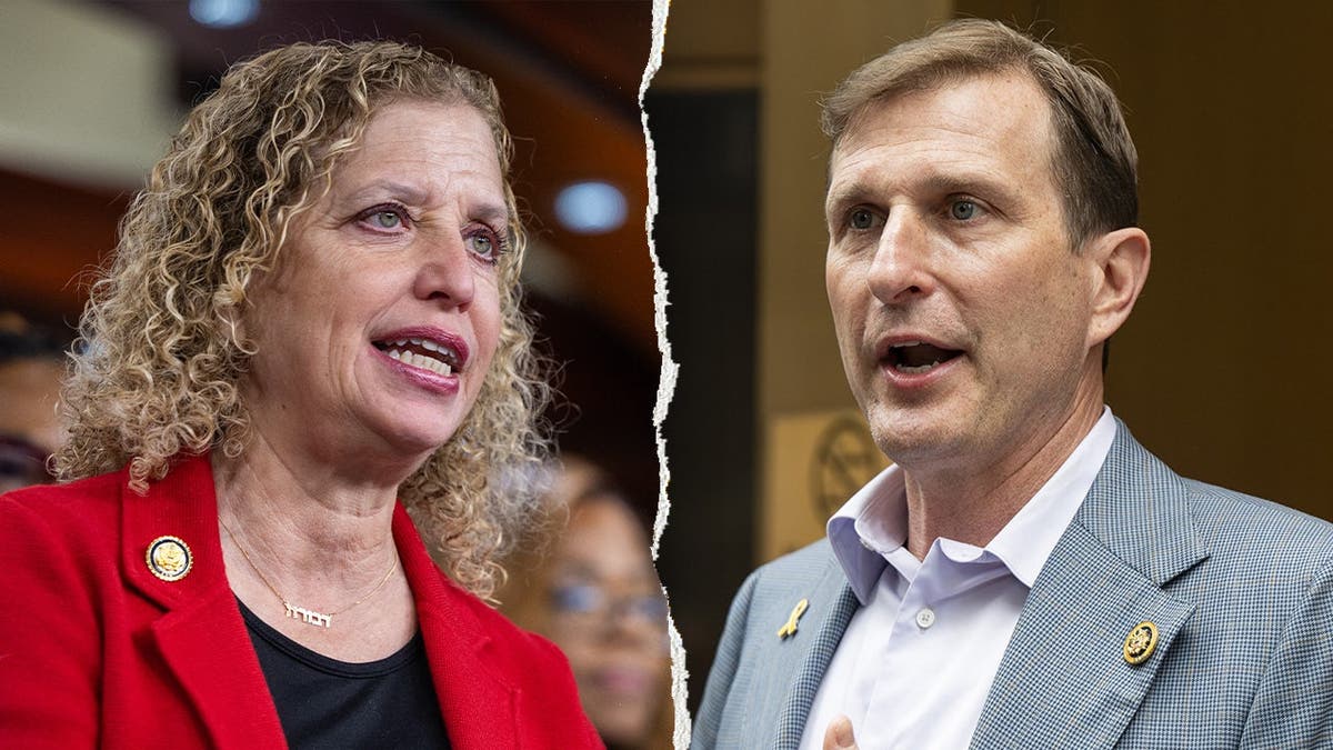 Compilation image of Debbie Wasserman Schultz and Dan Goldman