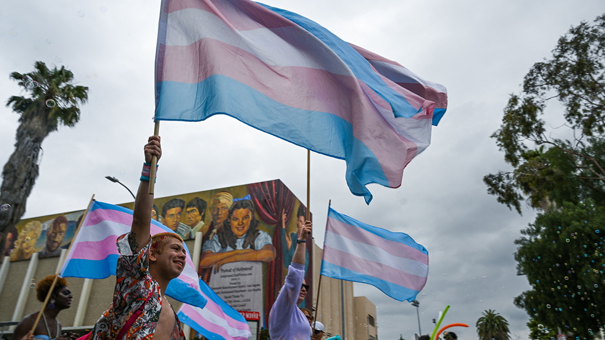 People waving a Transgender Pride flag at the LA Pride Parade in Hollywood, California