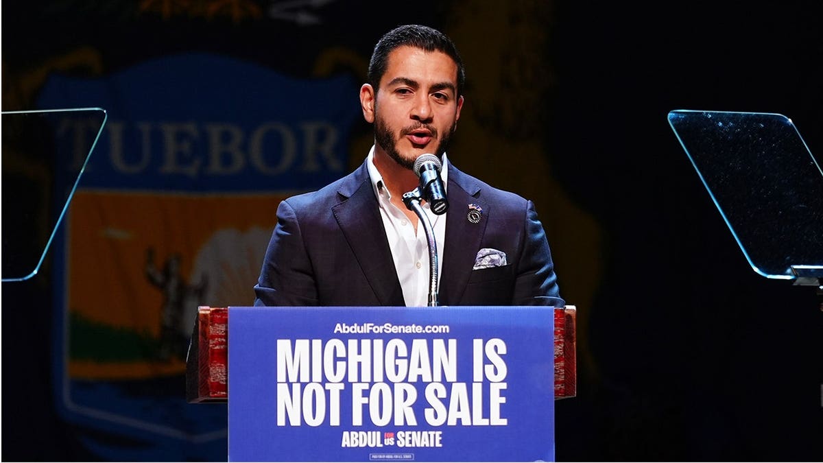Michigan Democratic Senate primary