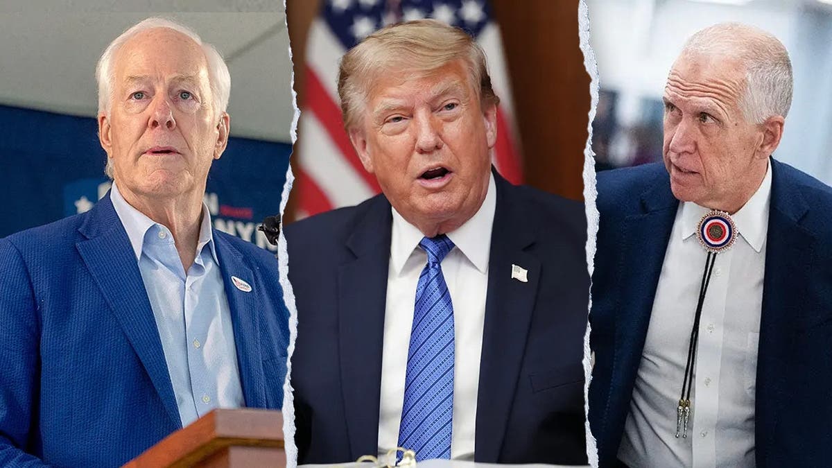 A split image of President Trump, Sens. Thom Tillis, R-N.C., and John Cornyn, R-Texas