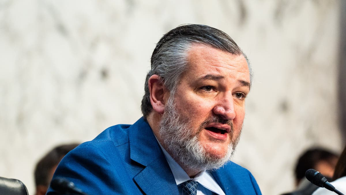 US Senator Ted Cruz (R-TX) speaks during a Senate Commerce, Science, and Transportation Committee hearing on Capitol Hill in Washington, DC on Thursday May 8, 2025.