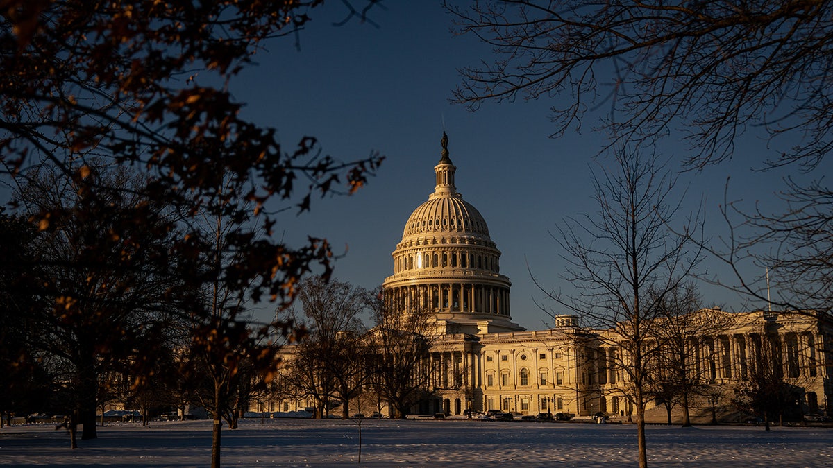 The US Capitol